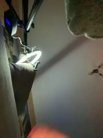 Superssttar Cam Show Recorded 2023-11-21