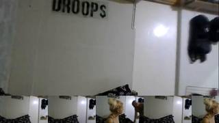 Temptress2200 Cam Show Recorded 2023-09-04 Chaturbate