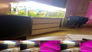 Zhozhoba69 Cam Show Recorded 2023-09-28