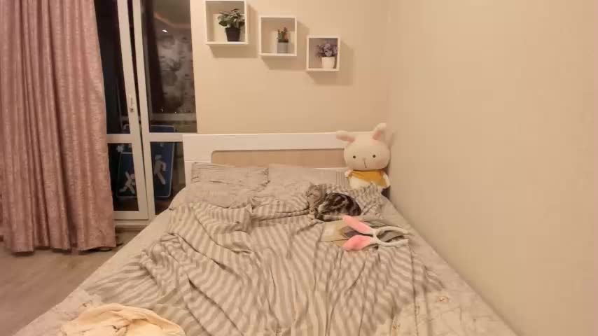 _lil_lady_ Cam Show Recorded 2023-10-25 Chaturbate