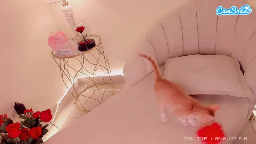 Kikievega Cam Show Recorded 2023-09-19