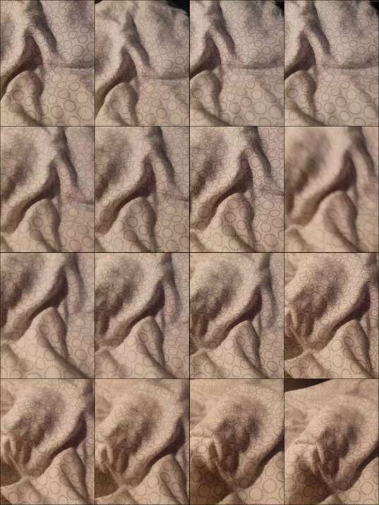 MalayaMeow Cam Show Recorded 2024-08-31