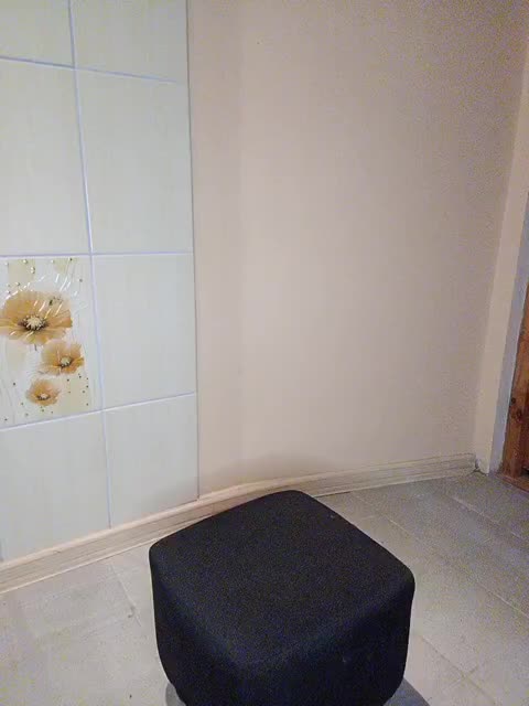 Vladlenchik Cam Show Recorded 2025-01-31