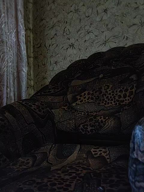 Dinochka38 Cam Show Recorded 2025-02-08