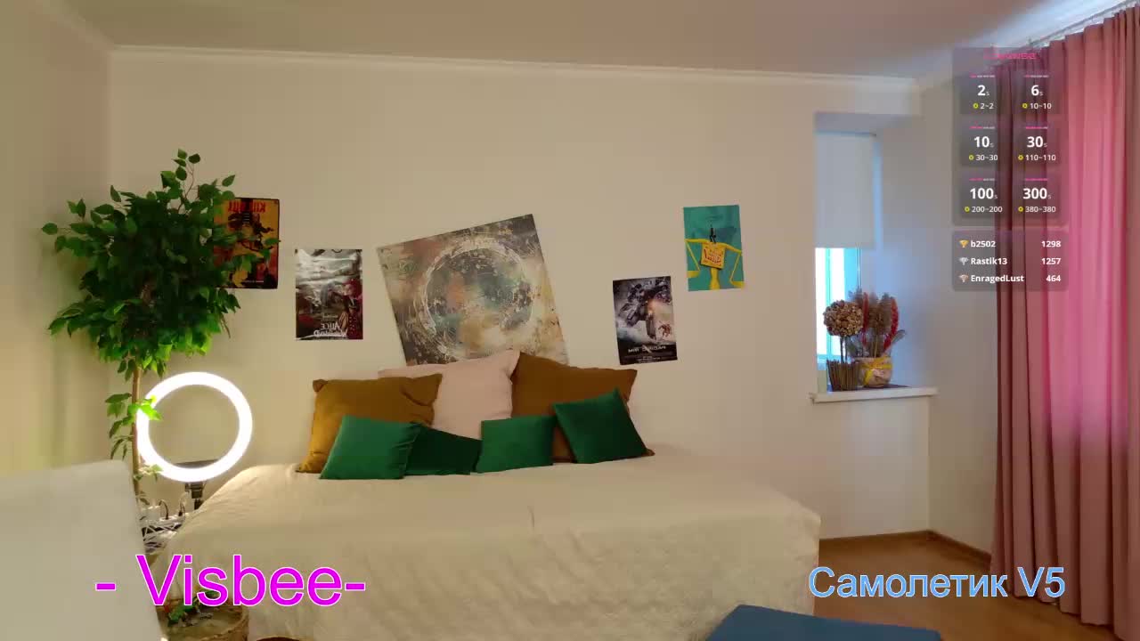 Visbee Cam Show Recorded 2025-02-19 Mixdrop