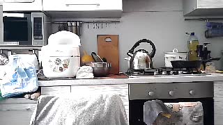 Misssweet_s Cam Show Recorded 2025-03-02
