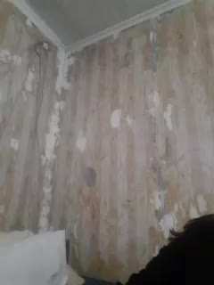 Linavia Cam Show Recorded 2025-03-12