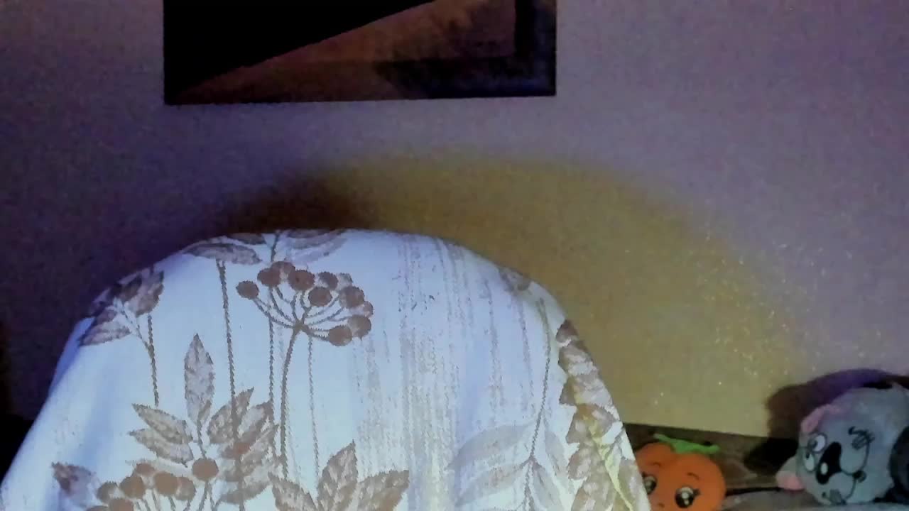 Sunshine-Aris Cam Show Recorded 2025-03-13