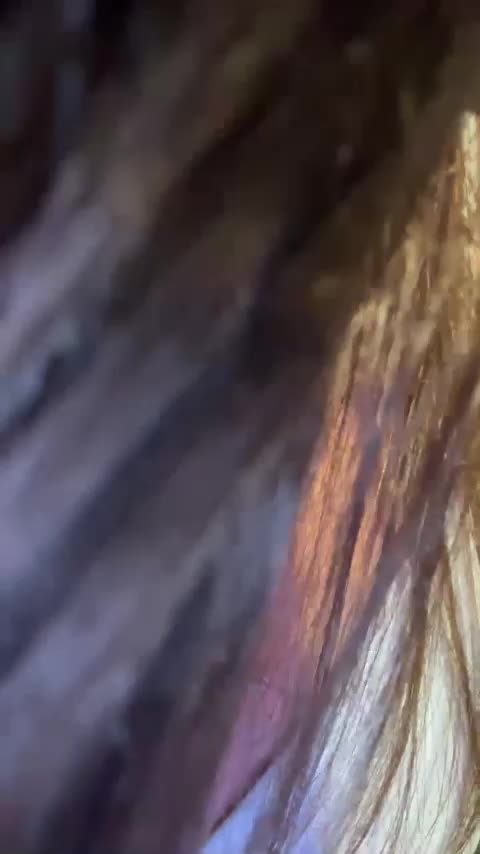 -NIRVANA- Cam Show Recorded 2025-04-04
