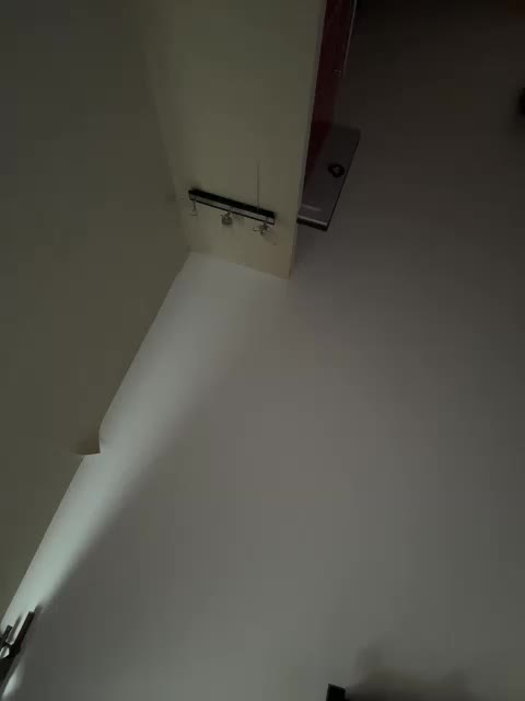 Rinaaamur Cam Show Recorded 2025-04-13