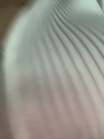 Katya_Katysha Cam Show Recorded 2025-04-15