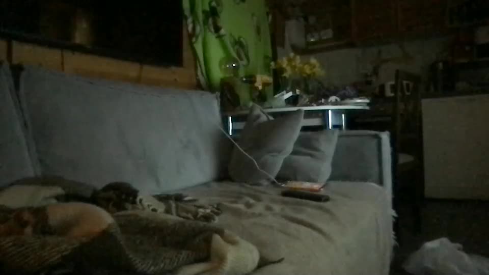 Ps4pro Cam Show Recorded 2025-04-16