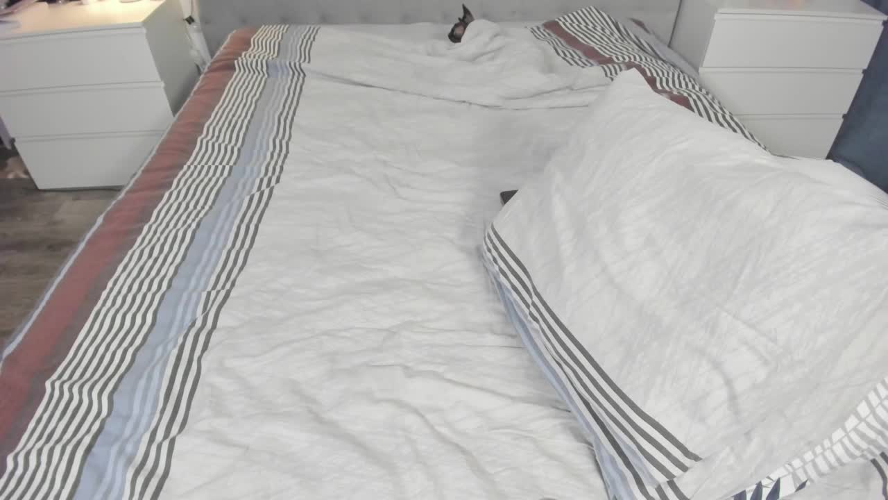 InfiniteDesire Cam Show Recorded 2025-04-21