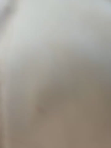 LikaCat Cam Show Recorded 2025-04-22