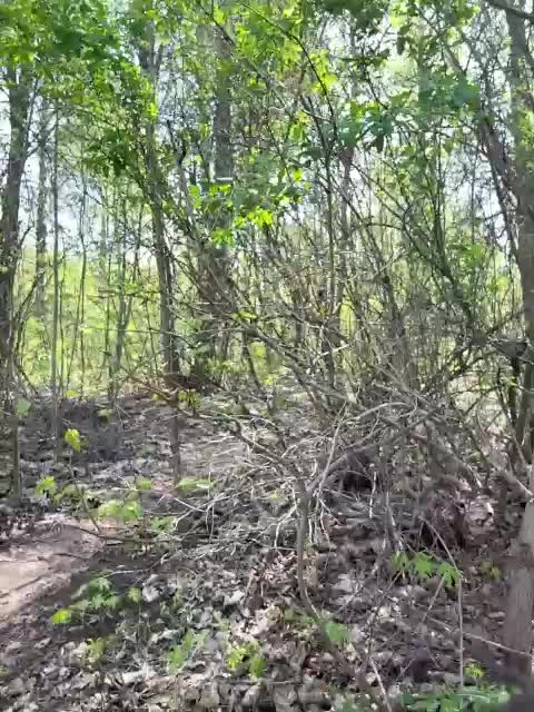 GAVKA_ Cam Show Recorded 2025-04-22