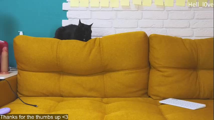 Hell_l0ve Cam Show Recorded 2025-04-22