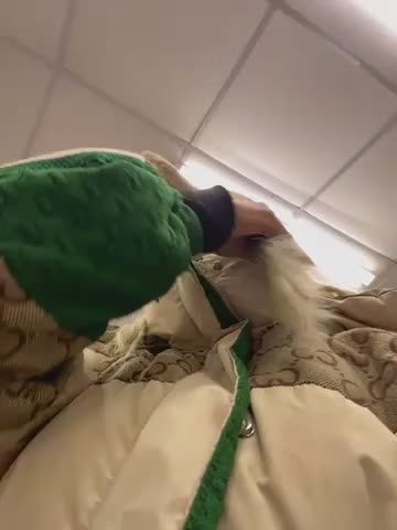 LikaCat Cam Show Recorded 2025-04-25