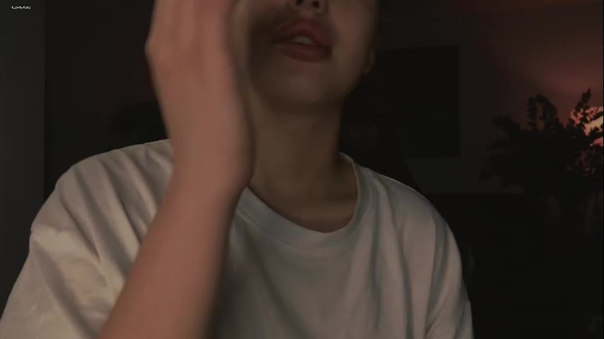 Aryamirelle Cam Show Recorded 2025-04-26
