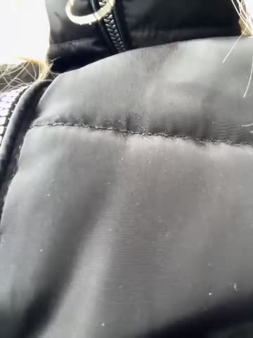 LikaCat Cam Show Recorded 2025-04-28