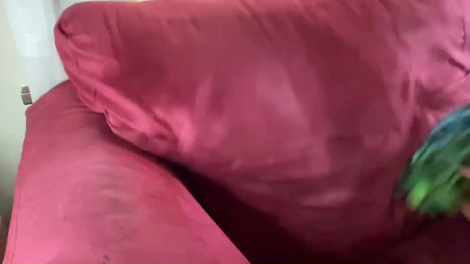 Just4you101 Cam Show Recorded 2025-04-29