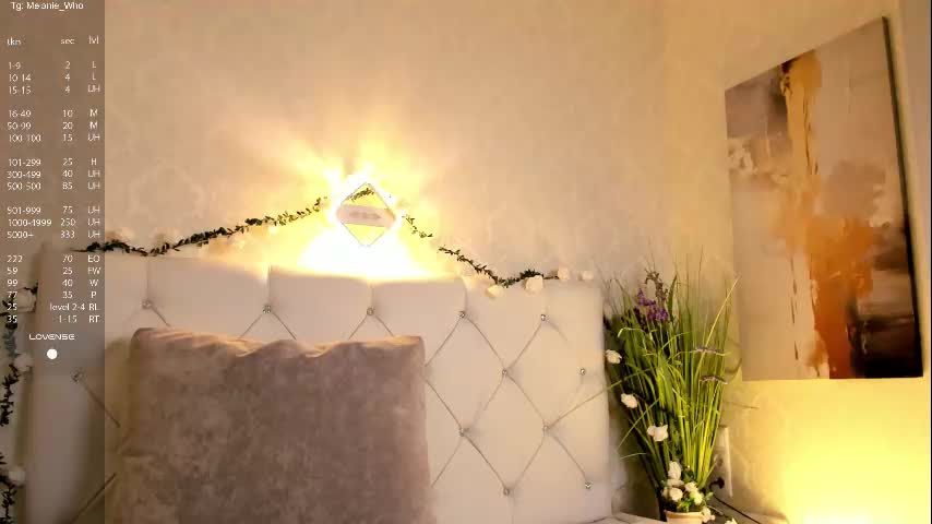 Shy_starlight Cam Show Recorded 2025-04-29