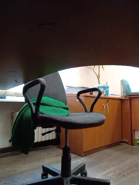GolayaPravda Cam Show Recorded 2025-04-30