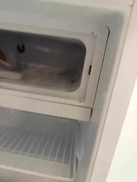 GAVKA_ Cam Show Recorded 2025-05-01