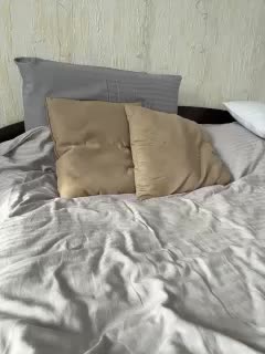 Ylia21112 Cam Show Recorded 2025-05-01