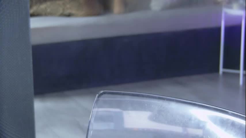 Shayblonde Cam Show Recorded 2025-05-03