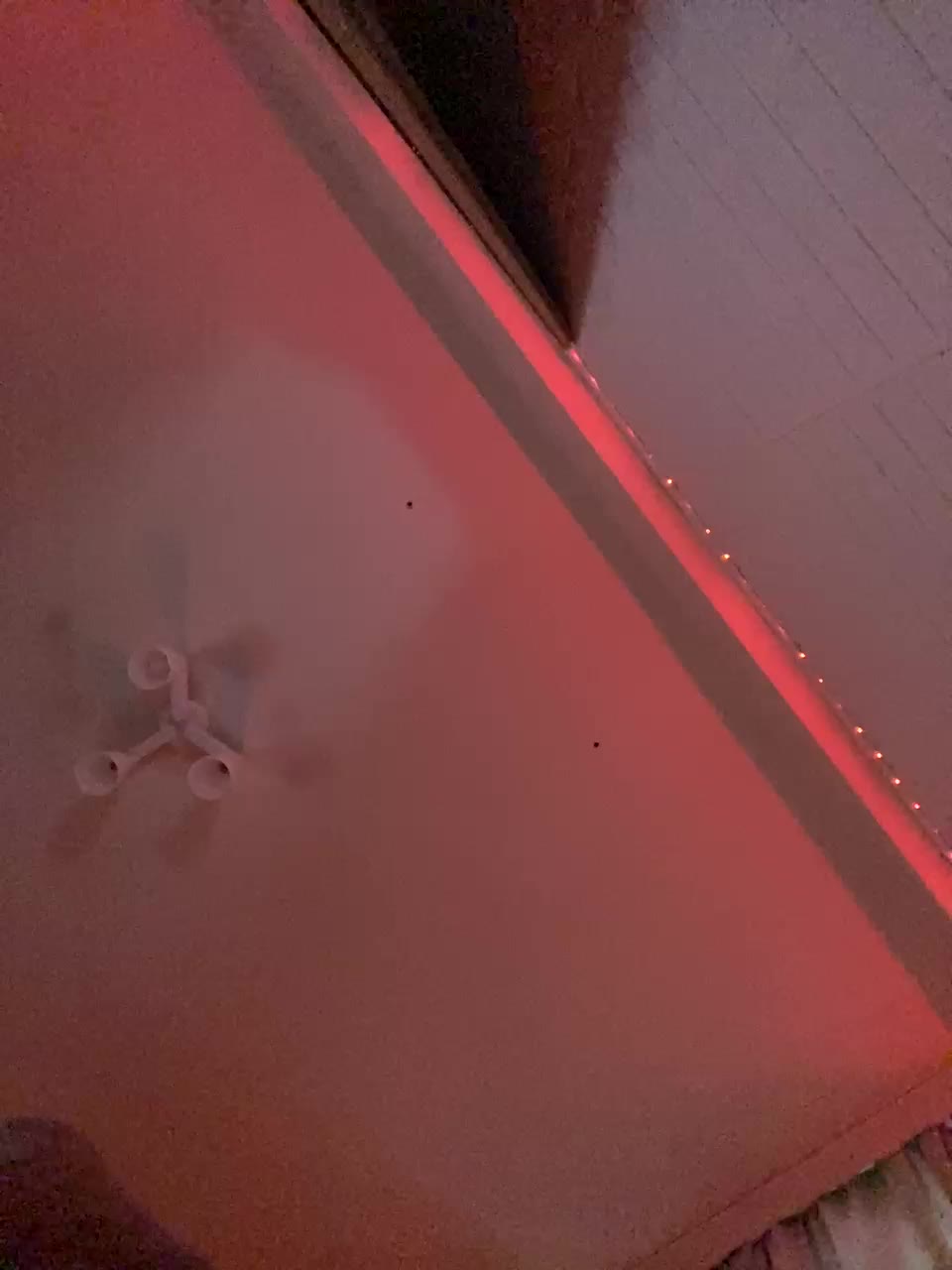 Nestyzz Cam Show Recorded 2025-05-03