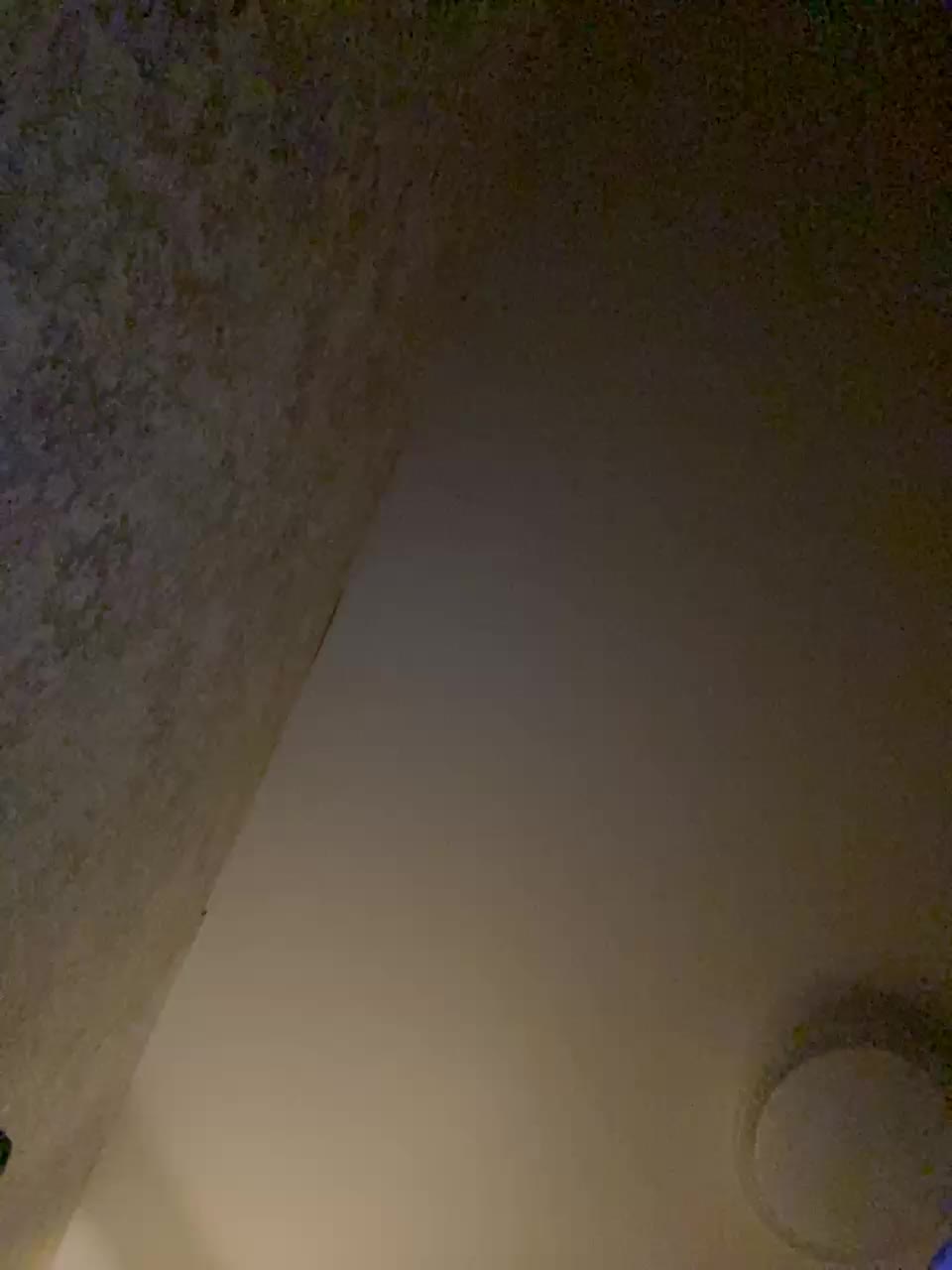 Aloeloea Cam Show Recorded 2025-05-05