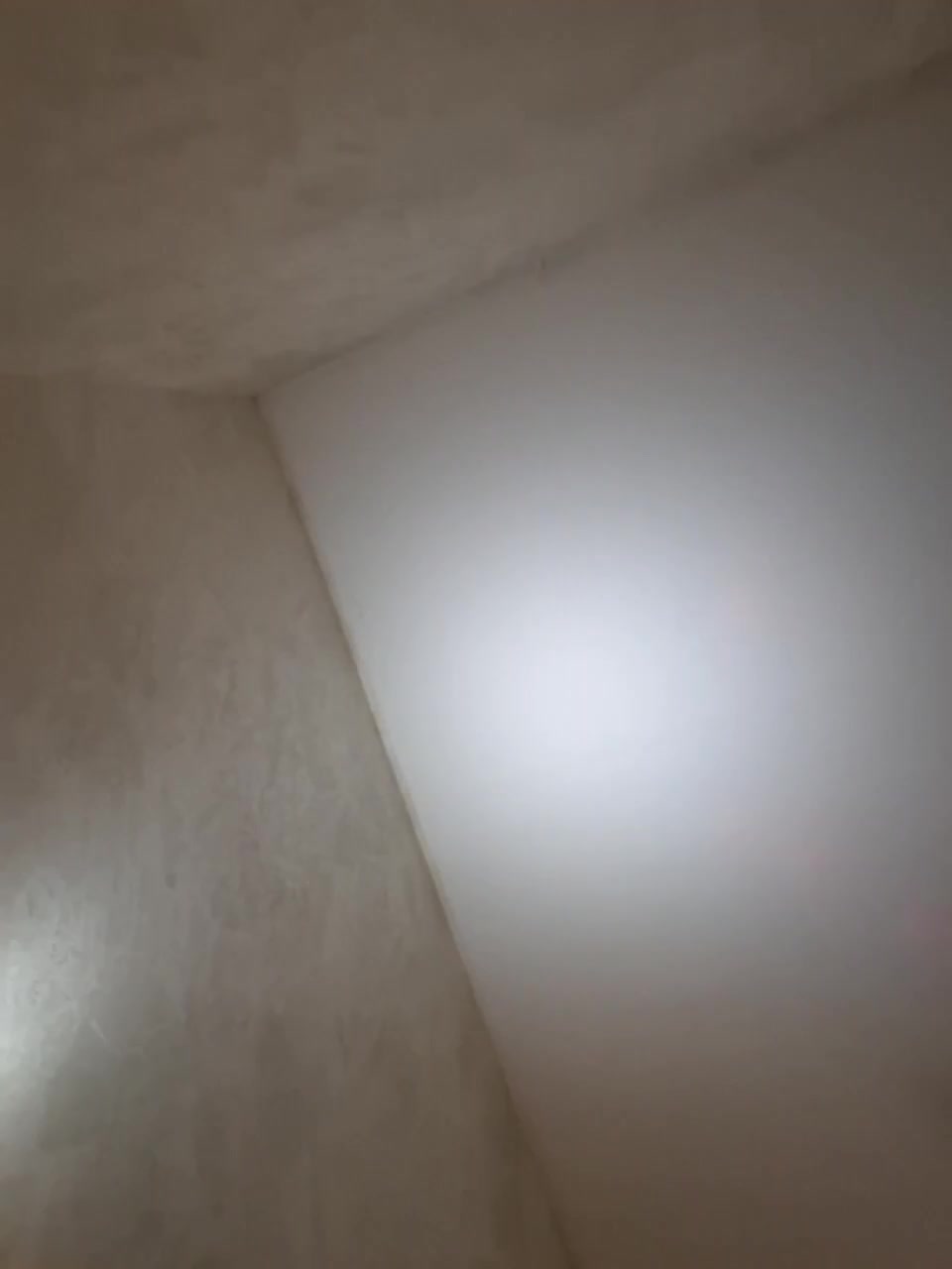 LittleDelora Cam Show Recorded 2025-05-05