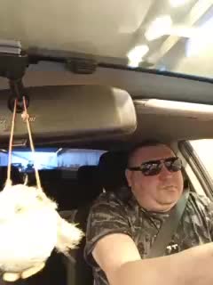 Pasha0864 Cam Show Recorded 2025-05-07