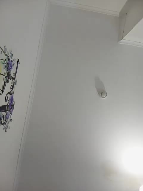 VikkyDream Cam Show Recorded 2025-05-08