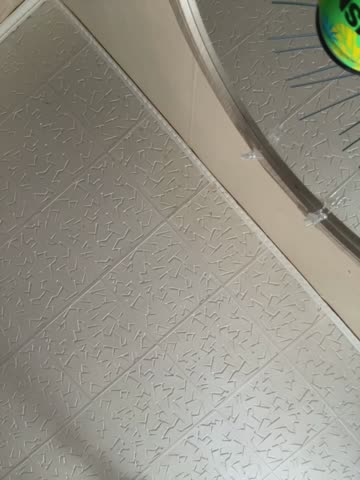 LikaCat Cam Show Recorded 2025-05-10