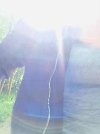 Missalexa09 Cam Show Recorded 2025-05-11