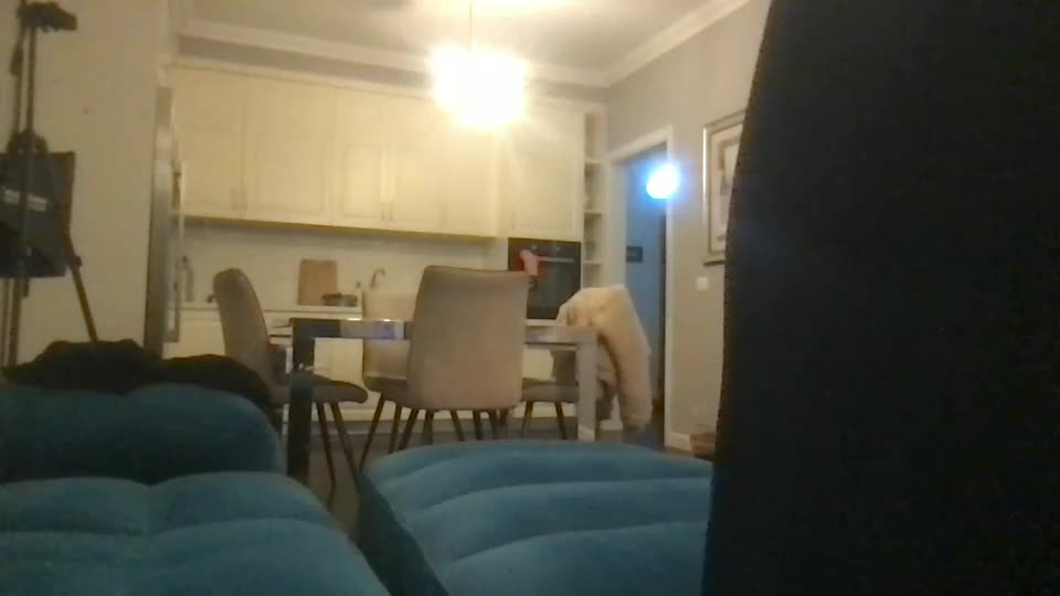 Drresa Cam Show Recorded 2025-05-11