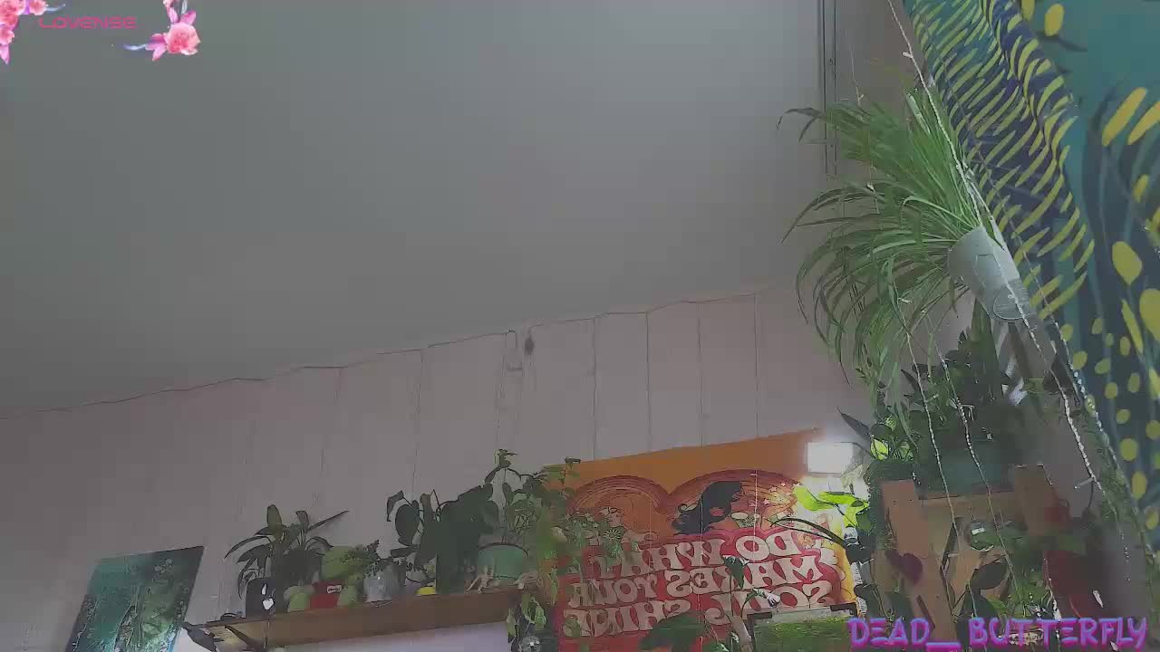 Dead_Butterfly Cam Show Recorded 2025-05-11
