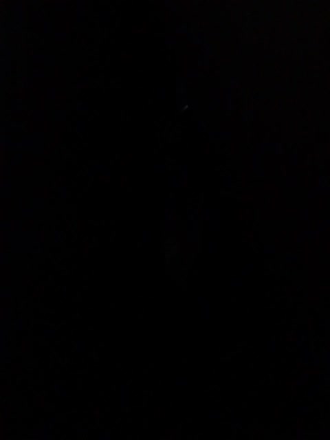 GolayaPravda Cam Show Recorded 2025-05-12