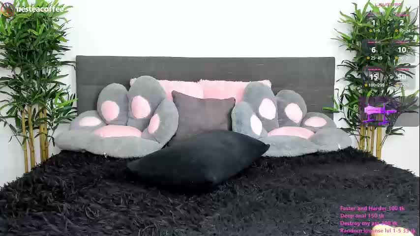 Nesteacoffee Cam Show Recorded 2025-05-15