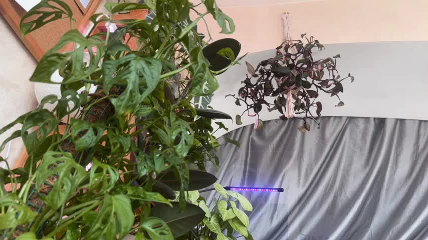 Sasha_moormeoow Cam Show Recorded 2025-05-15