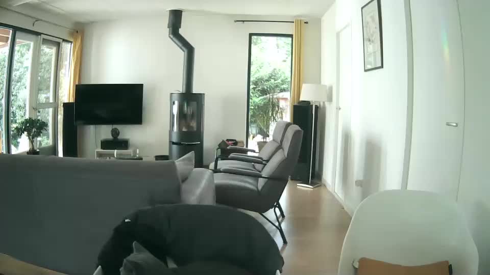 Woodwurm Cam Show Recorded 2025-05-16