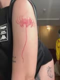 RollingGirls Cam Show Recorded 2025-05-18