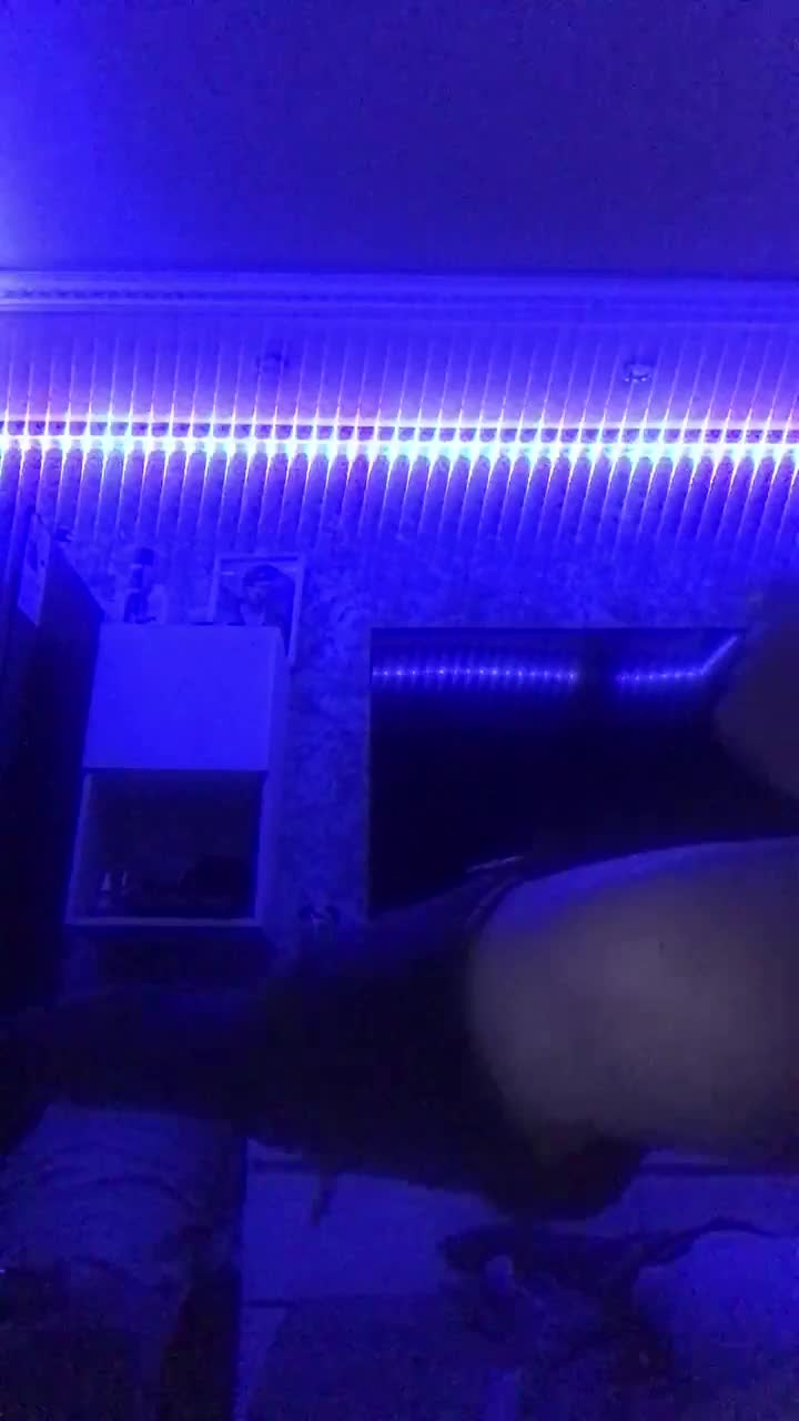 AvoDeviL Cam Show Recorded 2025-05-23
