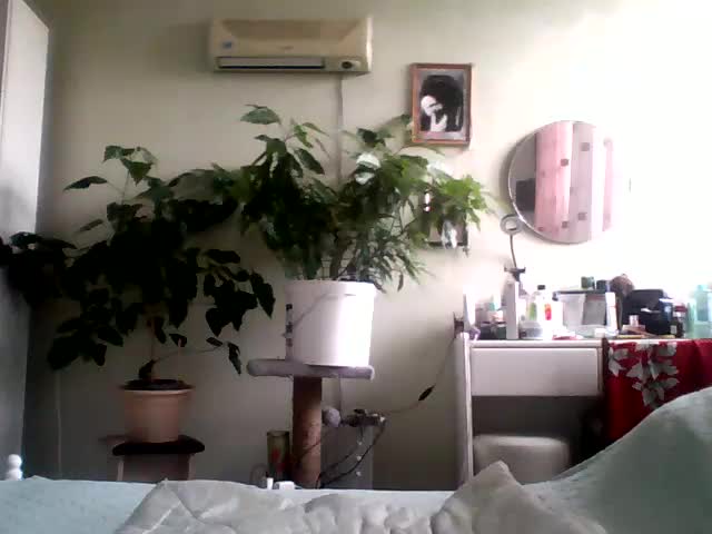 Rekelme Cam Show Recorded 2025-05-25
